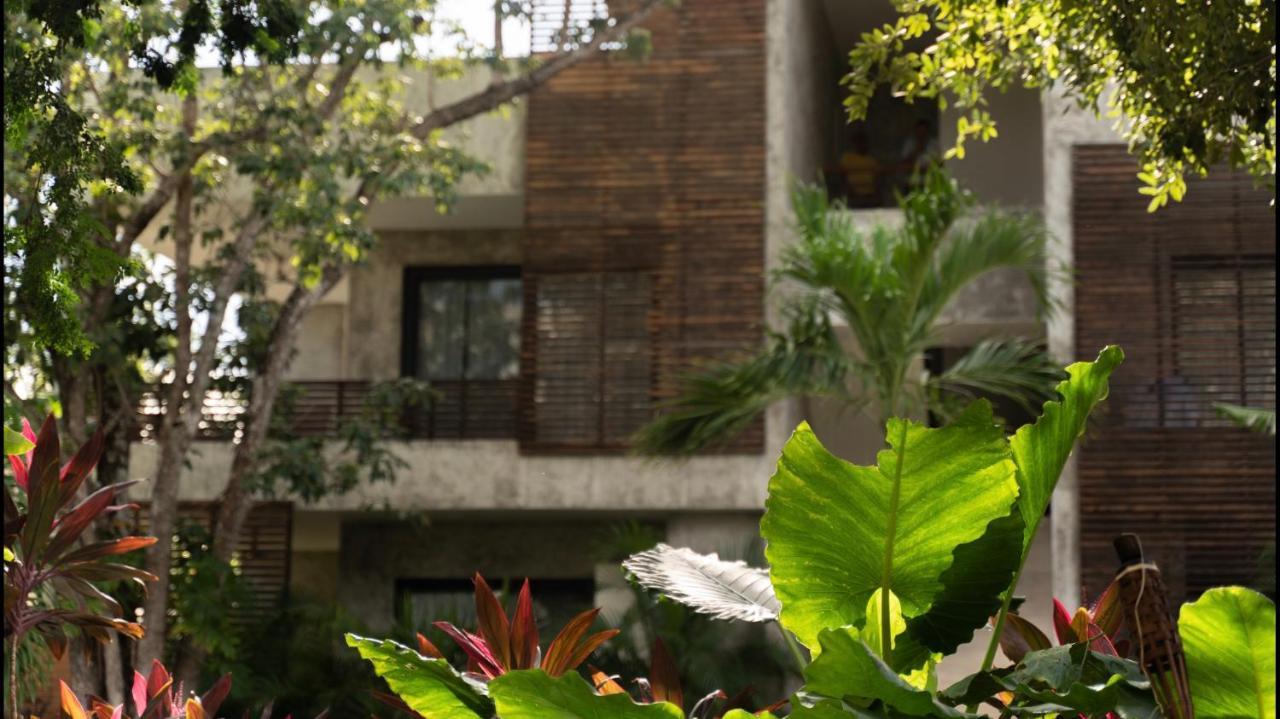 Panacea Condo تولوم المظهر الخارجي الصورة