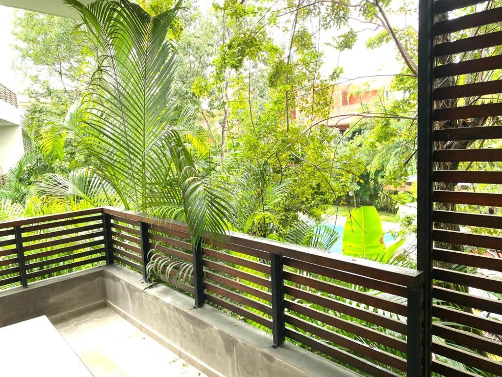 Panacea Condo تولوم المظهر الخارجي الصورة