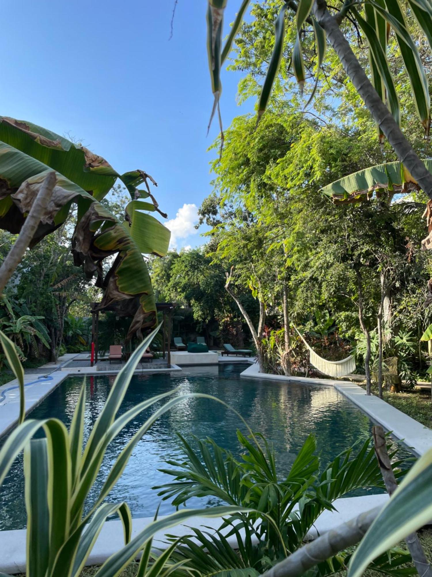 Panacea Condo تولوم المظهر الخارجي الصورة