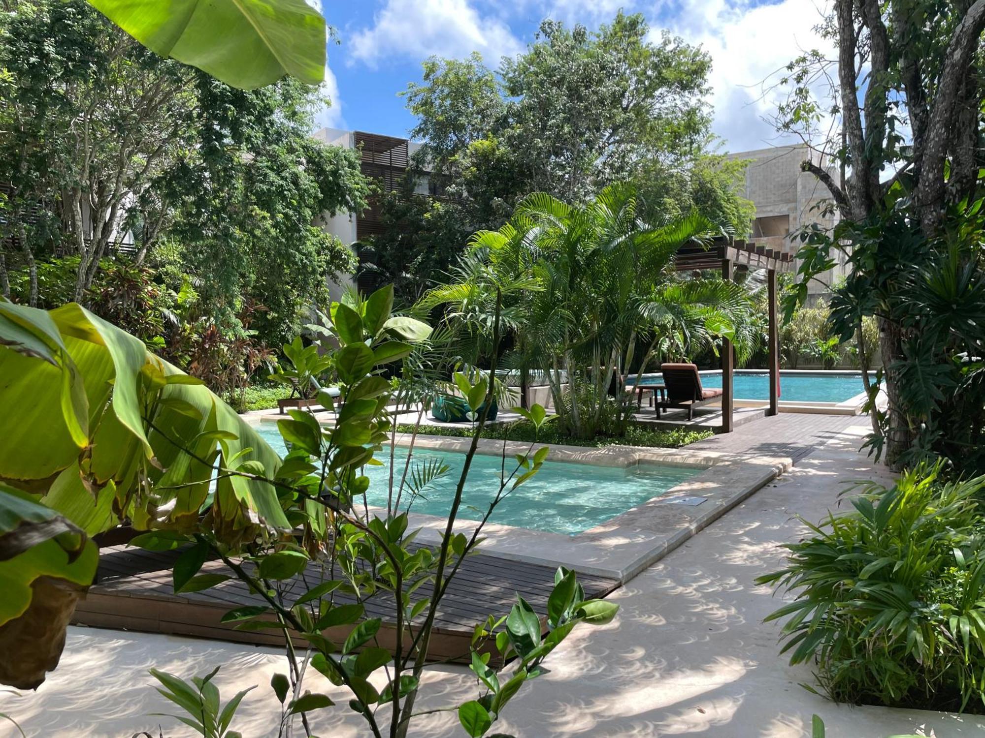 Panacea Condo تولوم المظهر الخارجي الصورة